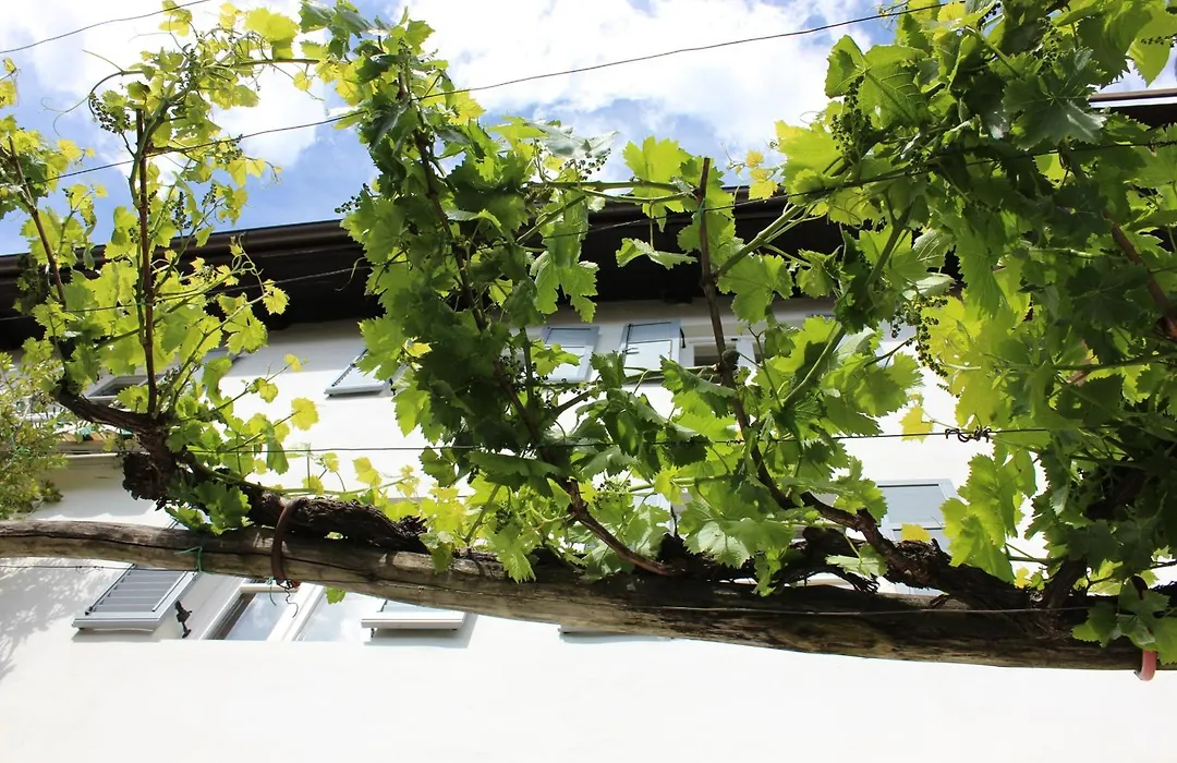 Weingut Pardellerhof-1
